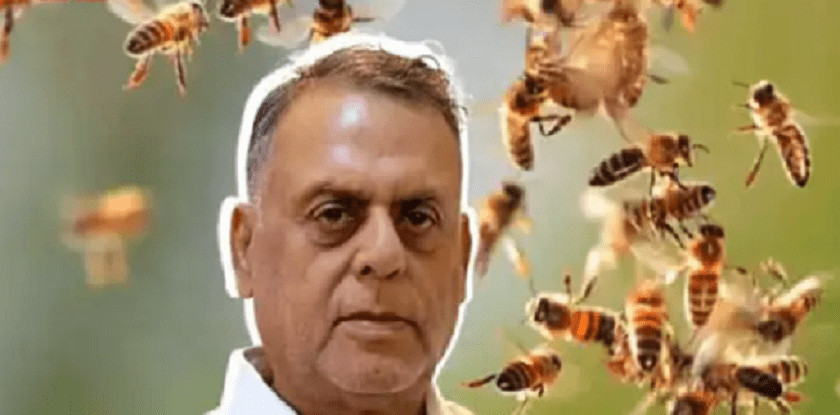 ‘मर्निङ वाक’ मा निस्किएका व्यवसायीमाथि मौरीको हमला, बेहोस भएलगत्तै मृत्यु