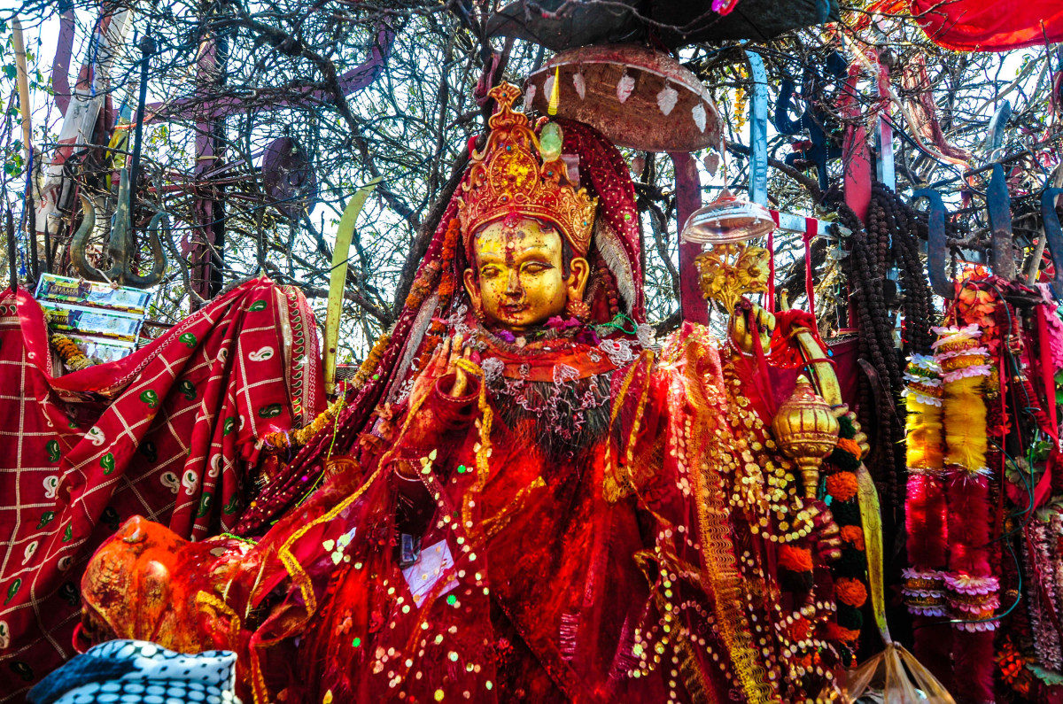 गत वर्ष दुई लाख २१ हजारले गरे पाथीभराको दर्शन