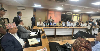 आवासीय चिकित्सक र सरकारबीच तीन विषयमा सहमति, आन्दोलनको कार्यक्रम फिर्ता