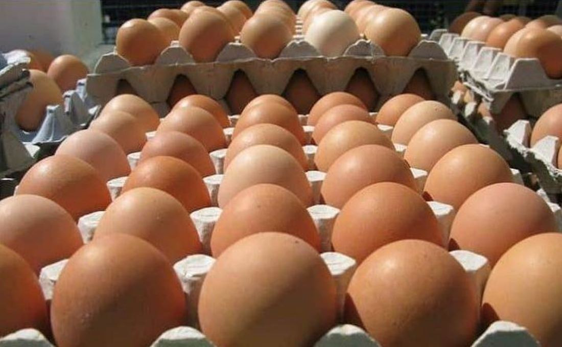 फेरि  बढ्यो अण्डाको मूल्य, कति पुग्याे प्रतिक्रेट ?