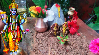 आज आषाढ शुक्ल एकादशीः घरघरमा तुलसीको बिरुवा सारिँदै