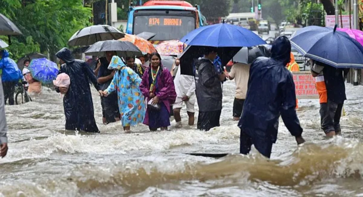भारतमा मुसलधारे वर्षा : मुम्बइमा स्कुल, कलेज र सरकारी कार्यालय बन्द