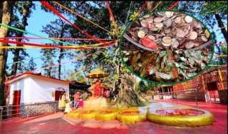 पाउ पाथीभरामा भेटीबाट १ करोड ४२ लाख संकलन