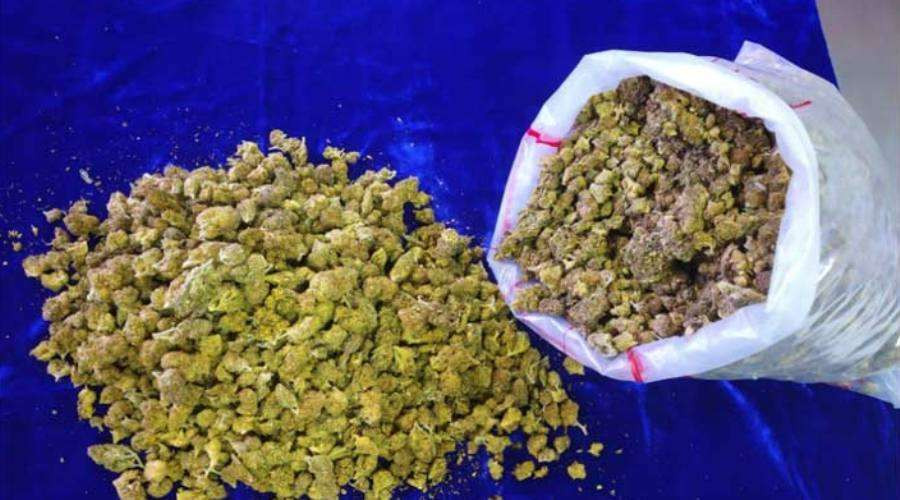 धनुषाबाट साढे तीन क्विन्टल गाँजा बरामद