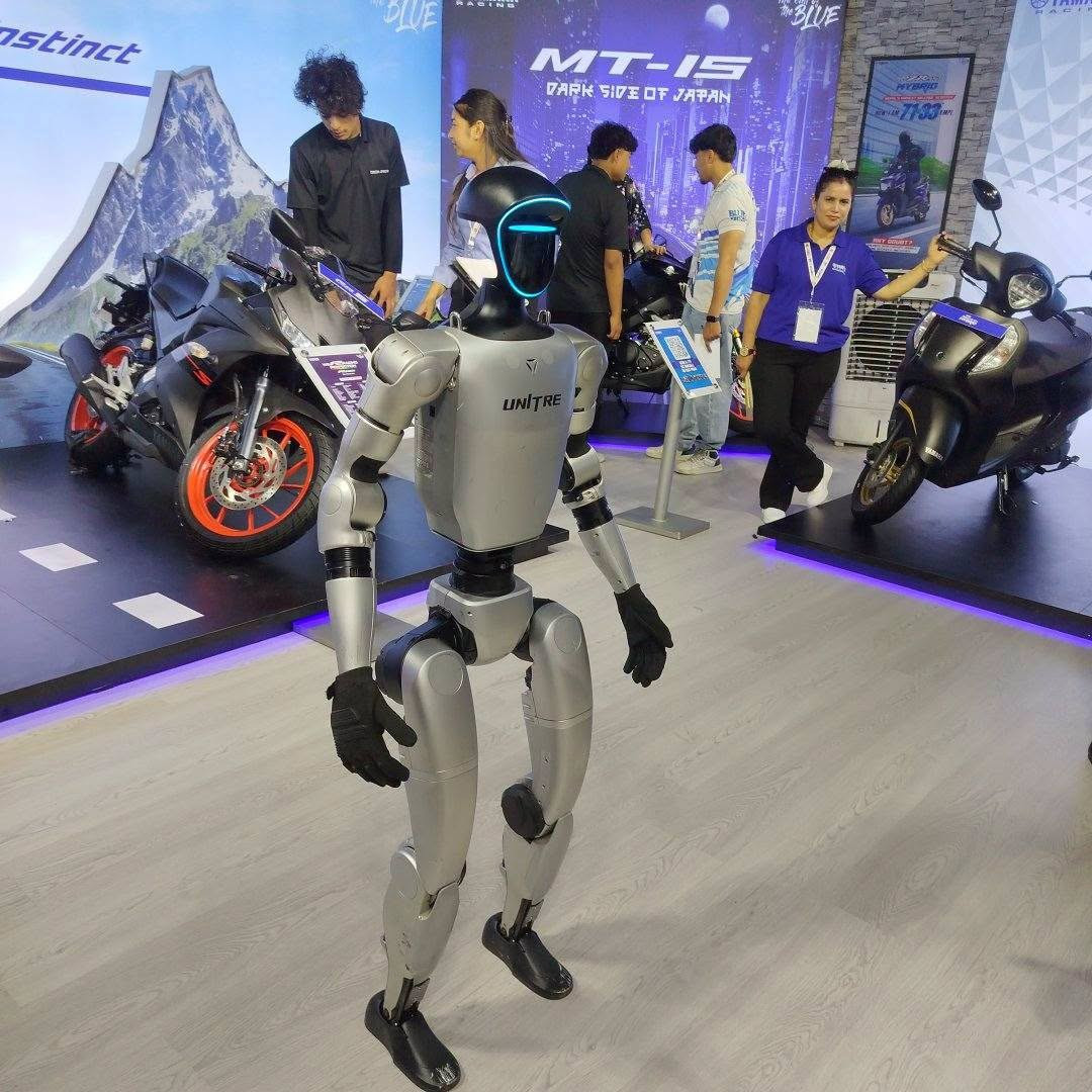 15.jfif