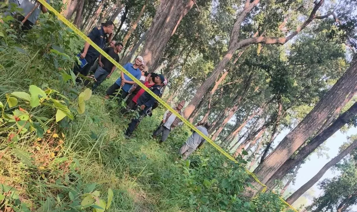 बाघको आक्रमणबाट एक जनाको मृत्यु