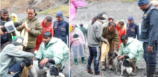 गोरखाको बूढीगण्डकी बाढीमा फसेको कुकुरको २० दिनपछि उद्धार